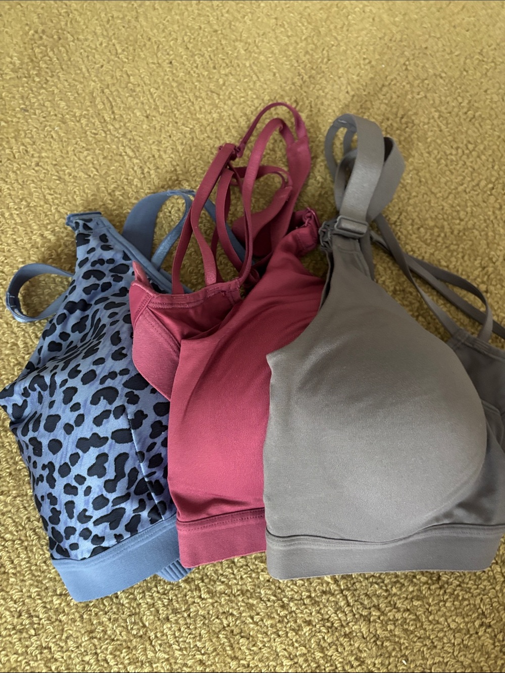 Women’s Calia Sports Bras - Set of 3, Plum, Periwinkle Leopard & Taupe